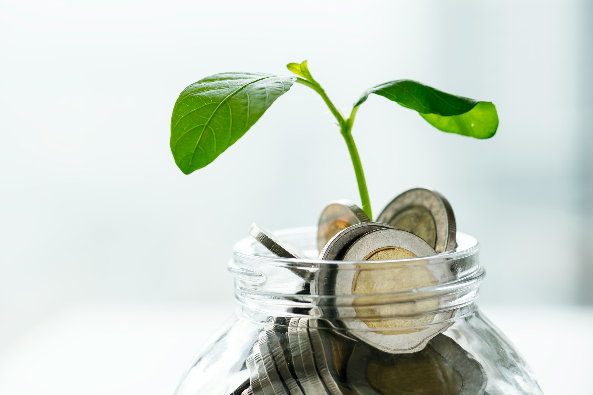 Super Funds